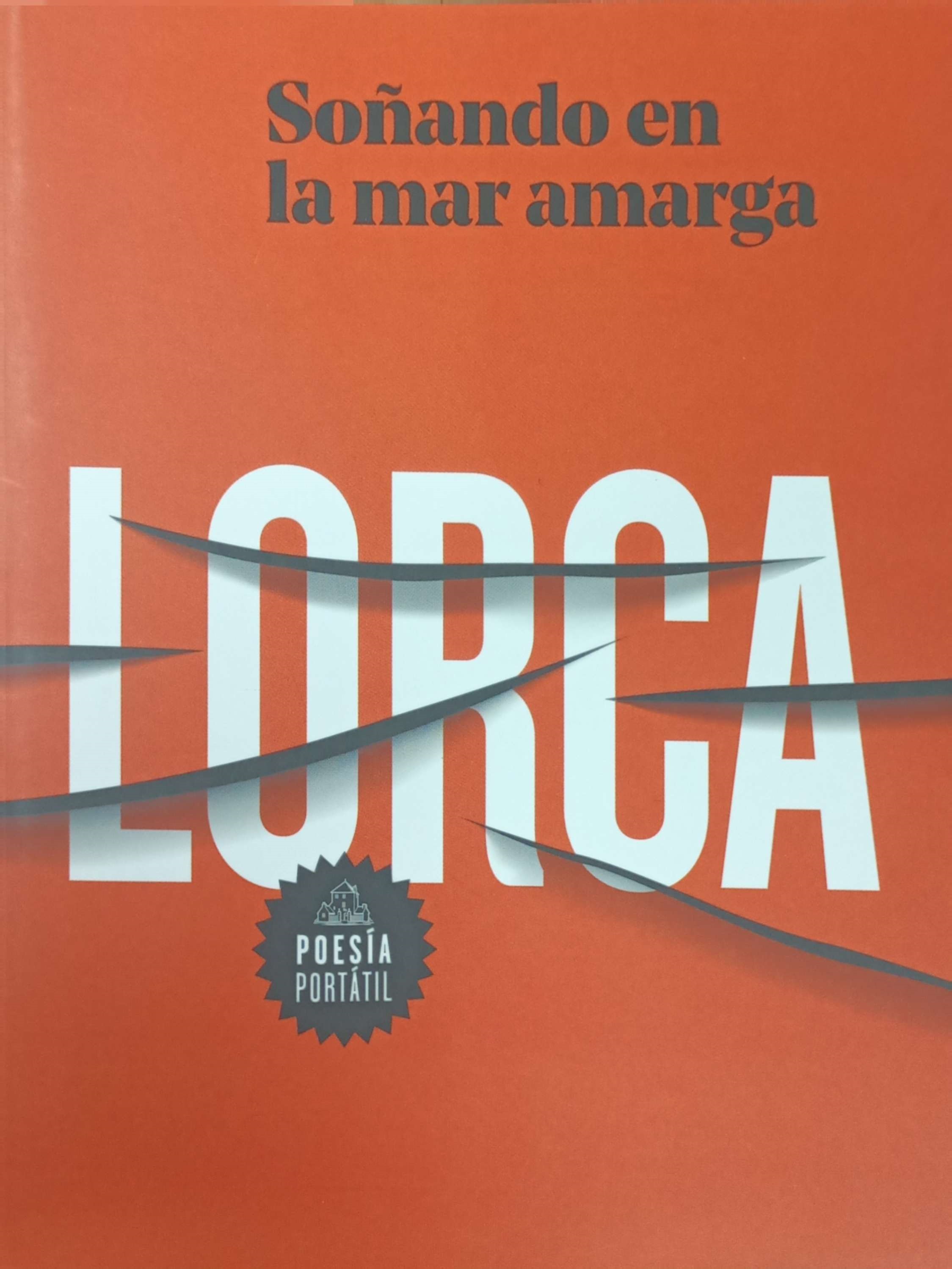 Soñando en la mar amarga